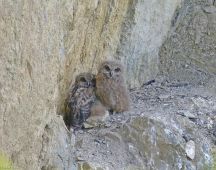 12 Koennen mit 5 Wochen klettern und springen